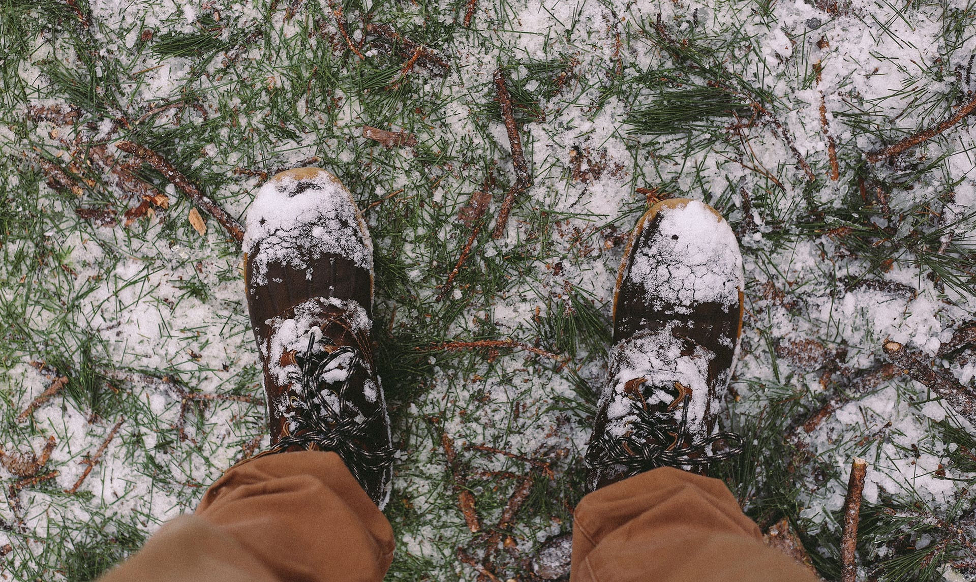 The Cabin Journals: Log One - Wander North Georgia