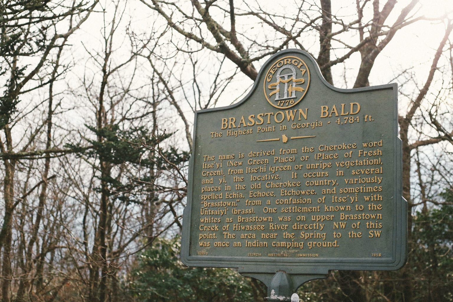 Brasstown Bald The Highest Point in
