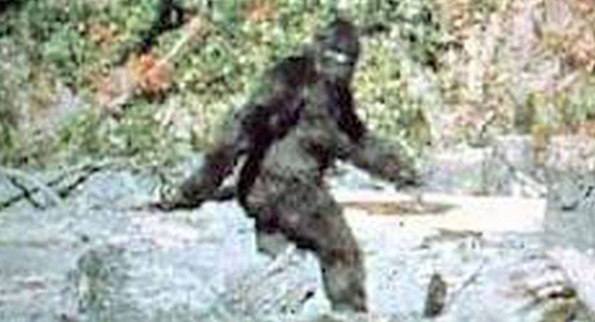 https://wandernorthgeorgia.com/wp-content/uploads/2017/09/squatch.jpg