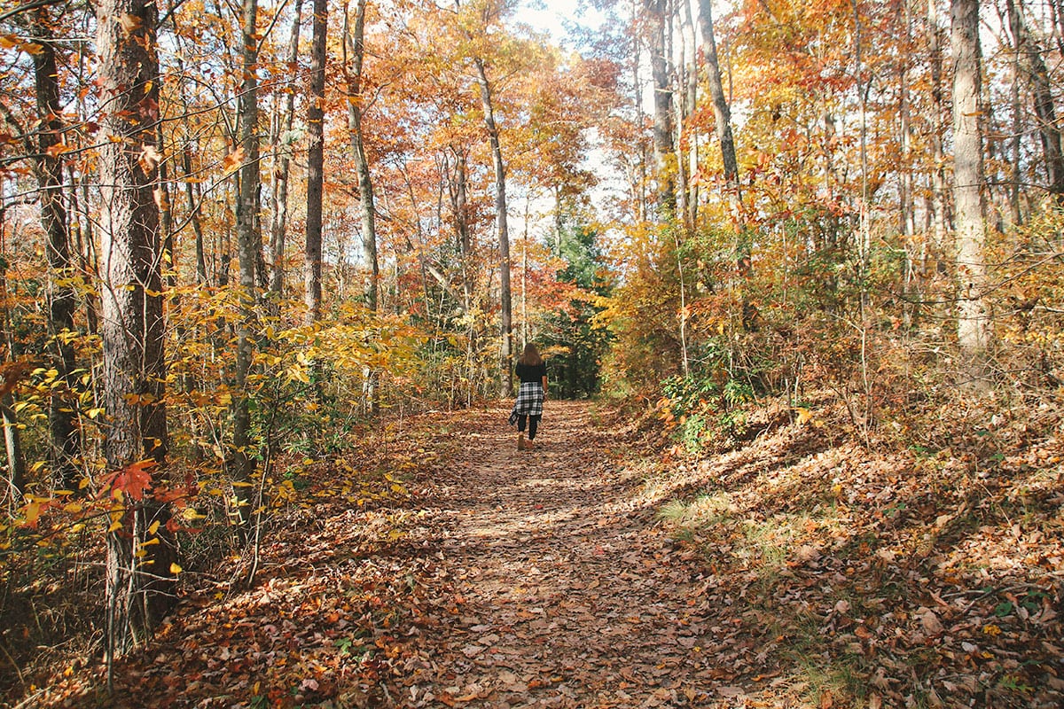 Lula Lake Land Trust