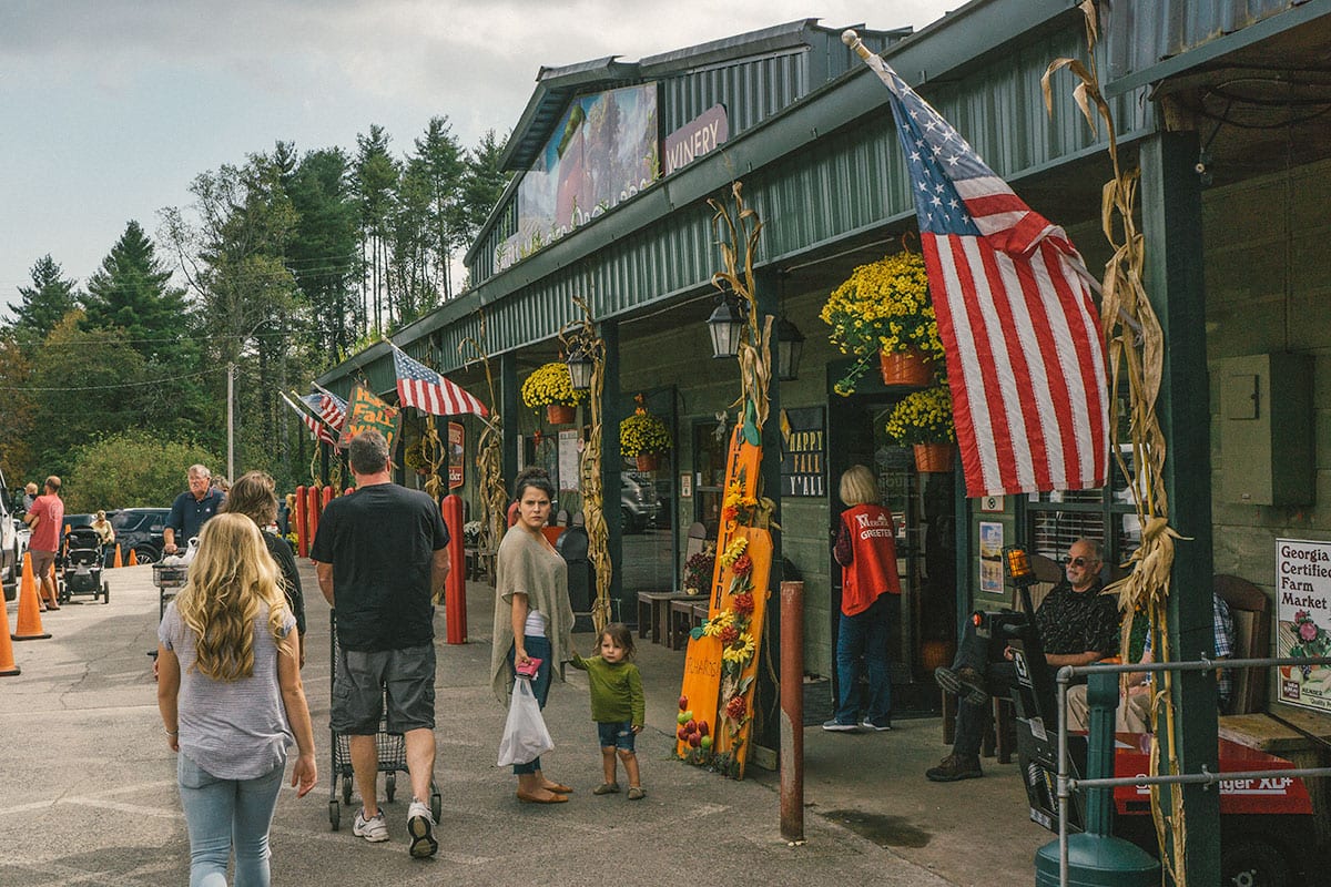 Mercier Orchards